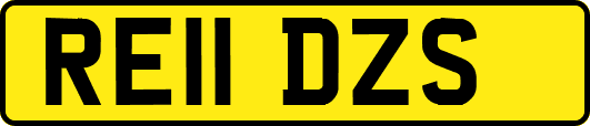 RE11DZS
