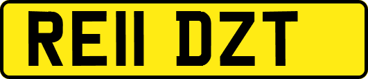 RE11DZT
