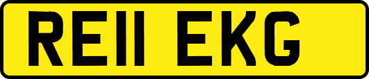 RE11EKG