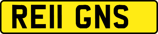 RE11GNS