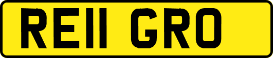RE11GRO
