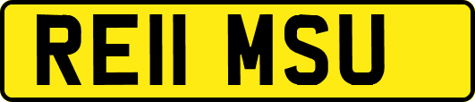 RE11MSU