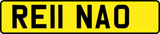 RE11NAO