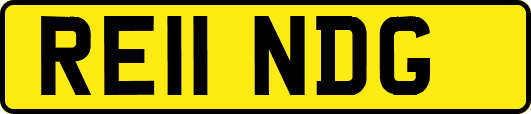 RE11NDG