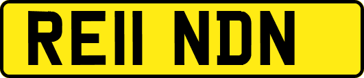RE11NDN