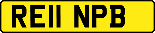 RE11NPB