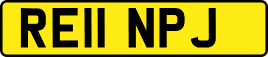 RE11NPJ