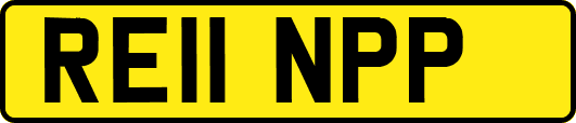 RE11NPP