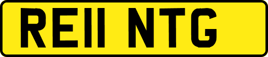 RE11NTG