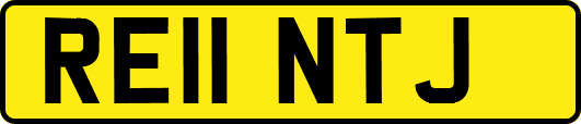 RE11NTJ