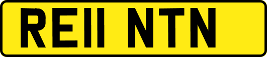 RE11NTN