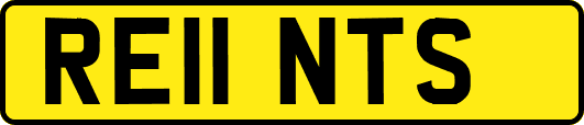 RE11NTS