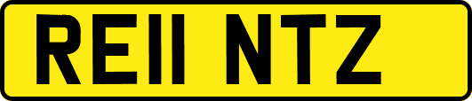 RE11NTZ