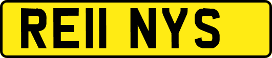 RE11NYS