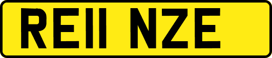 RE11NZE