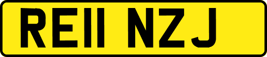 RE11NZJ