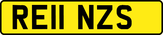 RE11NZS