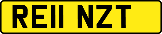 RE11NZT