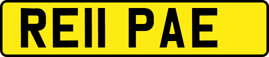 RE11PAE