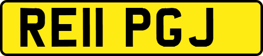 RE11PGJ