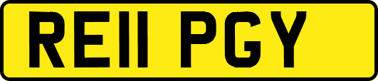 RE11PGY