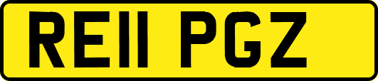 RE11PGZ