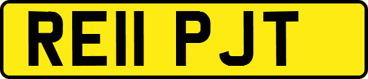 RE11PJT