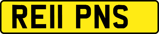 RE11PNS