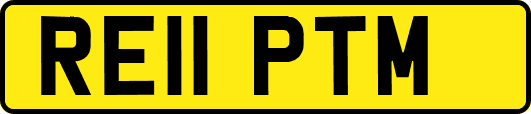 RE11PTM