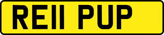 RE11PUP