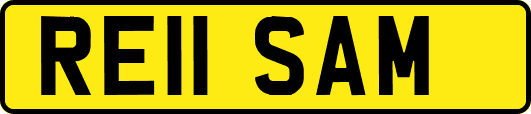 RE11SAM
