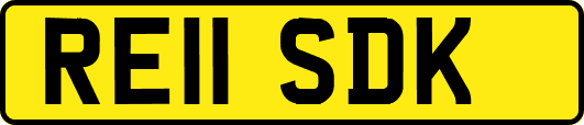 RE11SDK