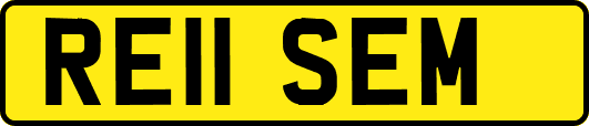 RE11SEM