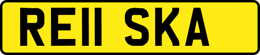 RE11SKA