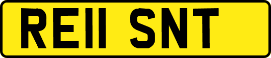 RE11SNT