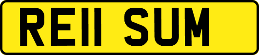 RE11SUM