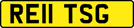 RE11TSG