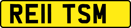 RE11TSM