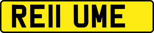 RE11UME