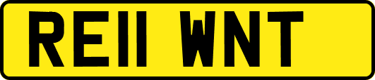 RE11WNT