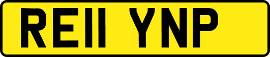 RE11YNP