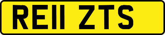 RE11ZTS