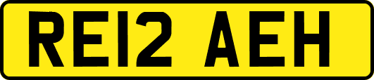 RE12AEH