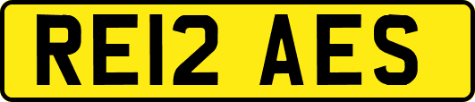 RE12AES