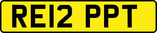 RE12PPT