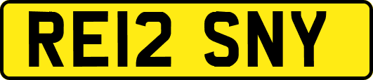 RE12SNY