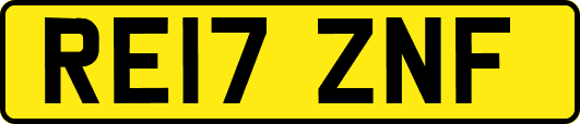 RE17ZNF