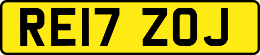 RE17ZOJ