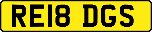 RE18DGS