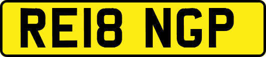 RE18NGP